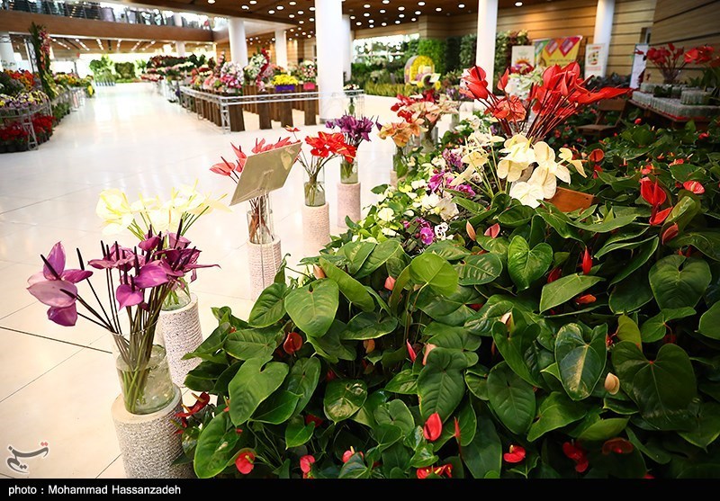 نمایشگاه گل و گیاه