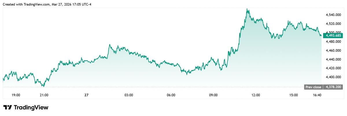 photo_2026-03-28_13-15-15