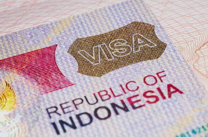 bsli visa