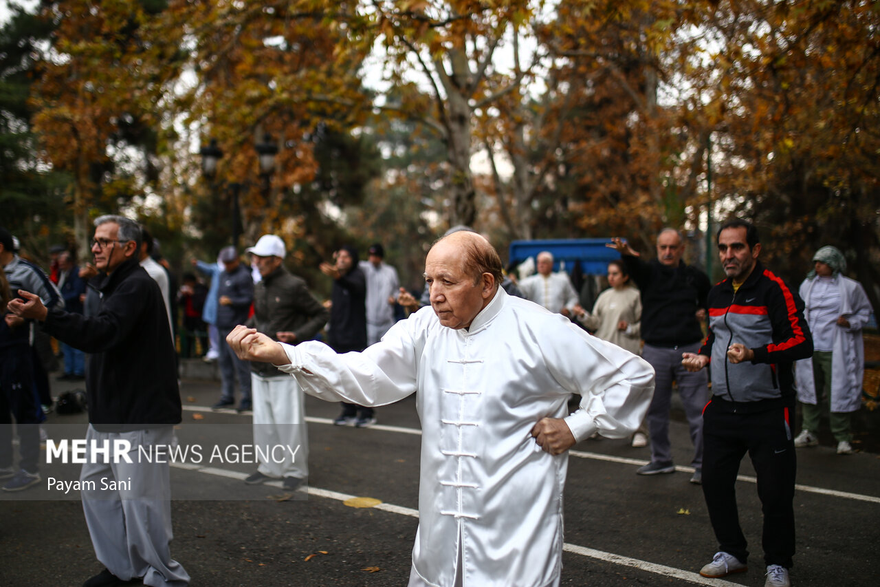 هماش تای چی