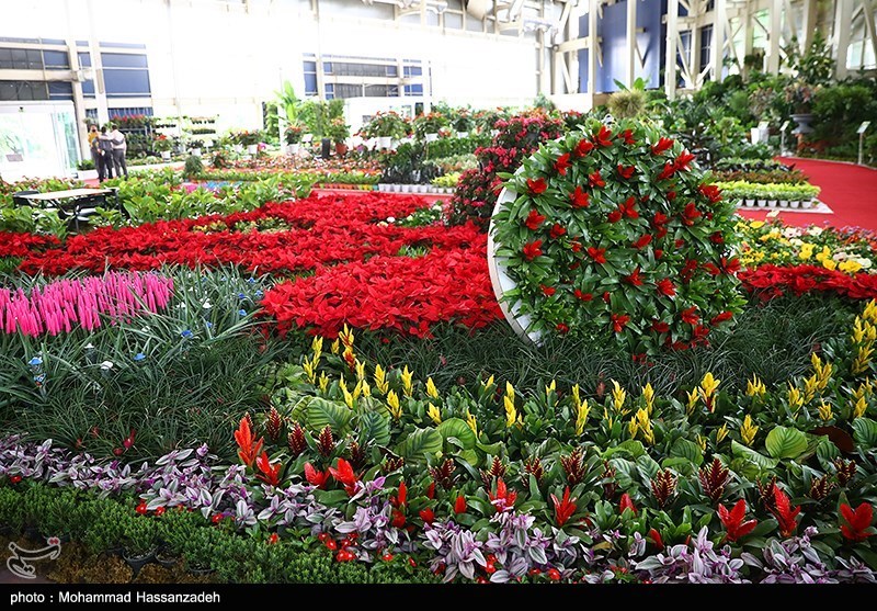 نمایشگاه گل و گیاه