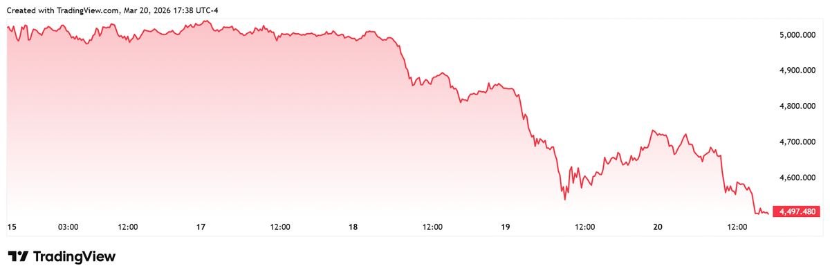 photo_2026-03-21_13-56-13