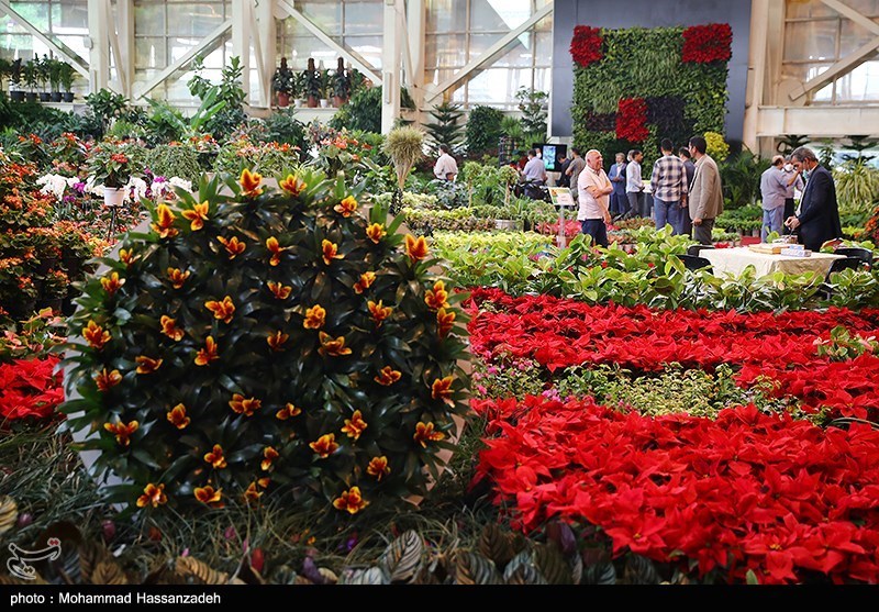 نمایشگاه گل و گیاه
