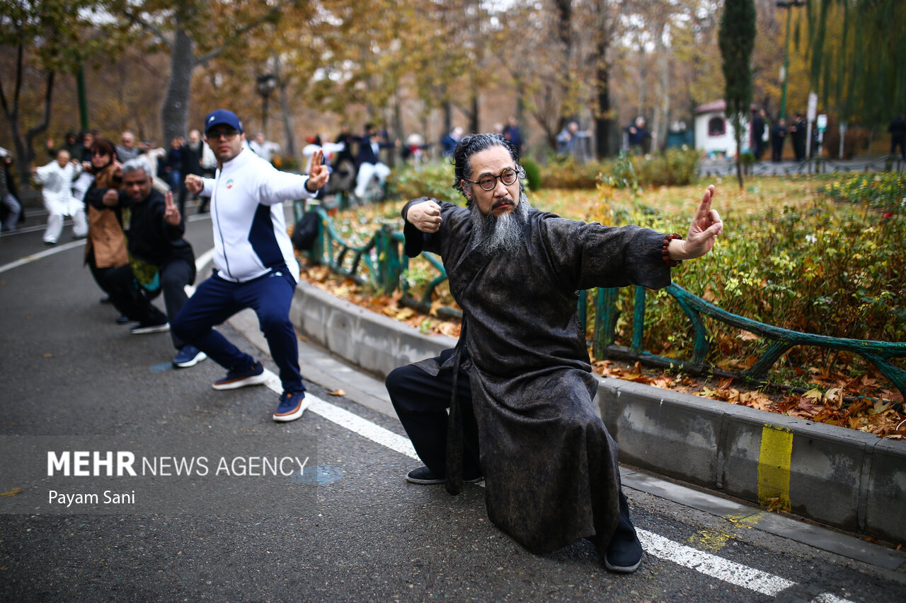 هماش تای چی