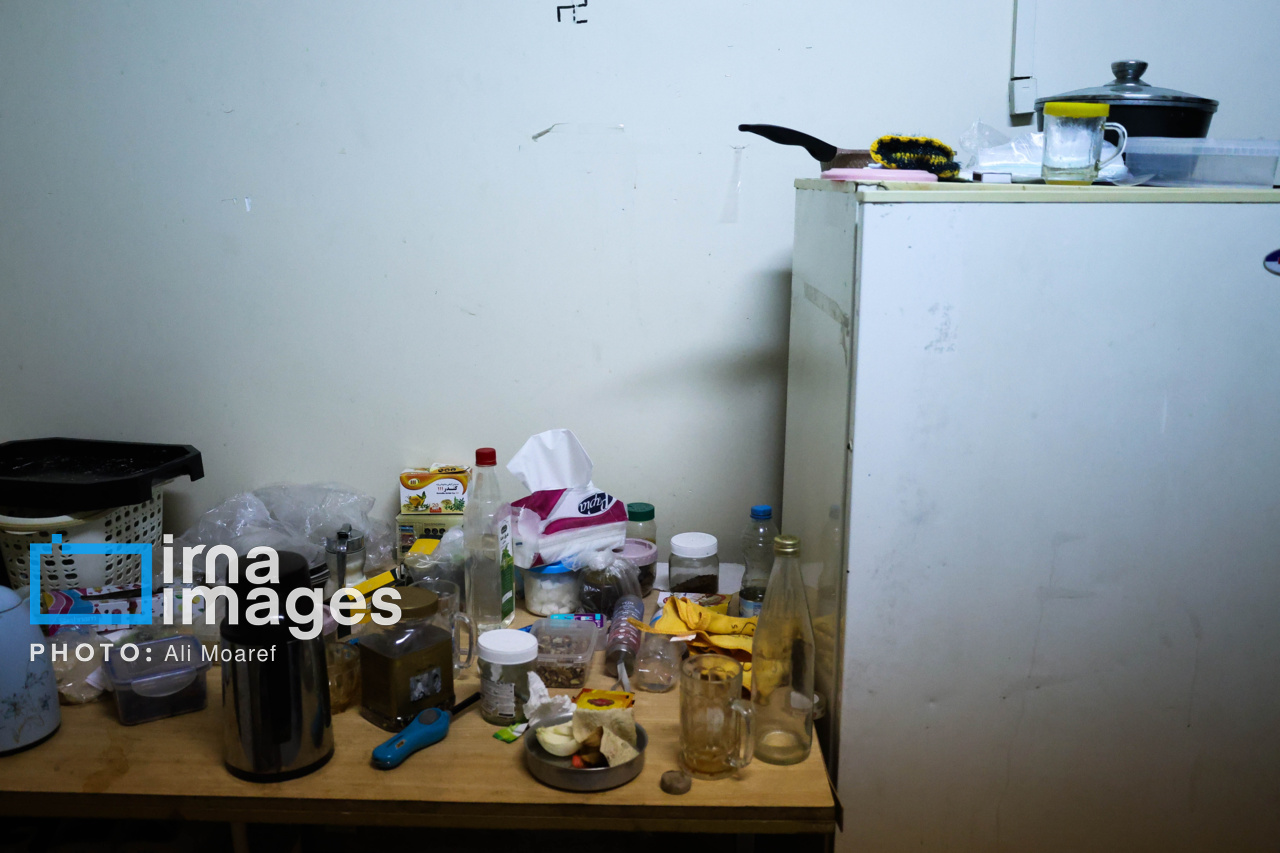 زندگی دانشجویی