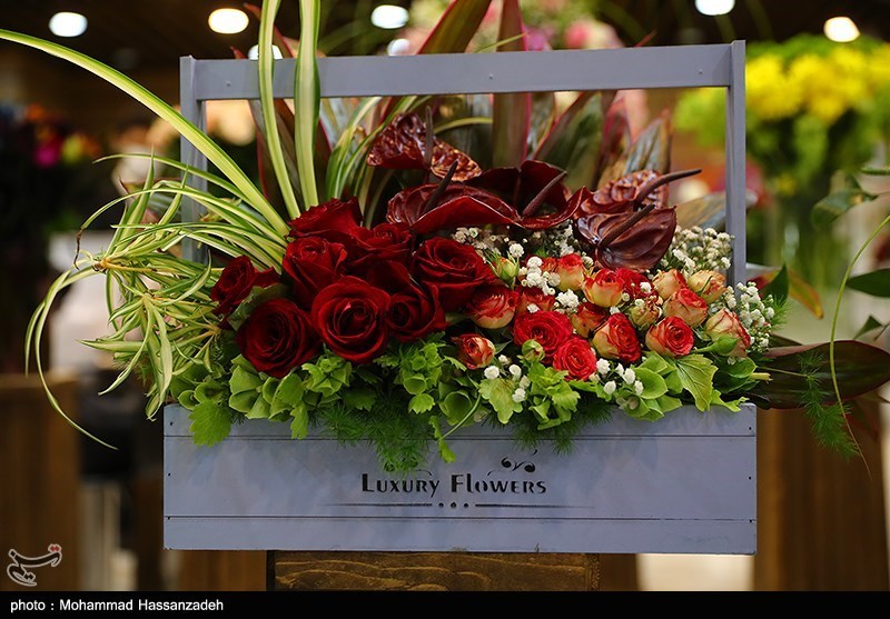 نمایشگاه گل و گیاه