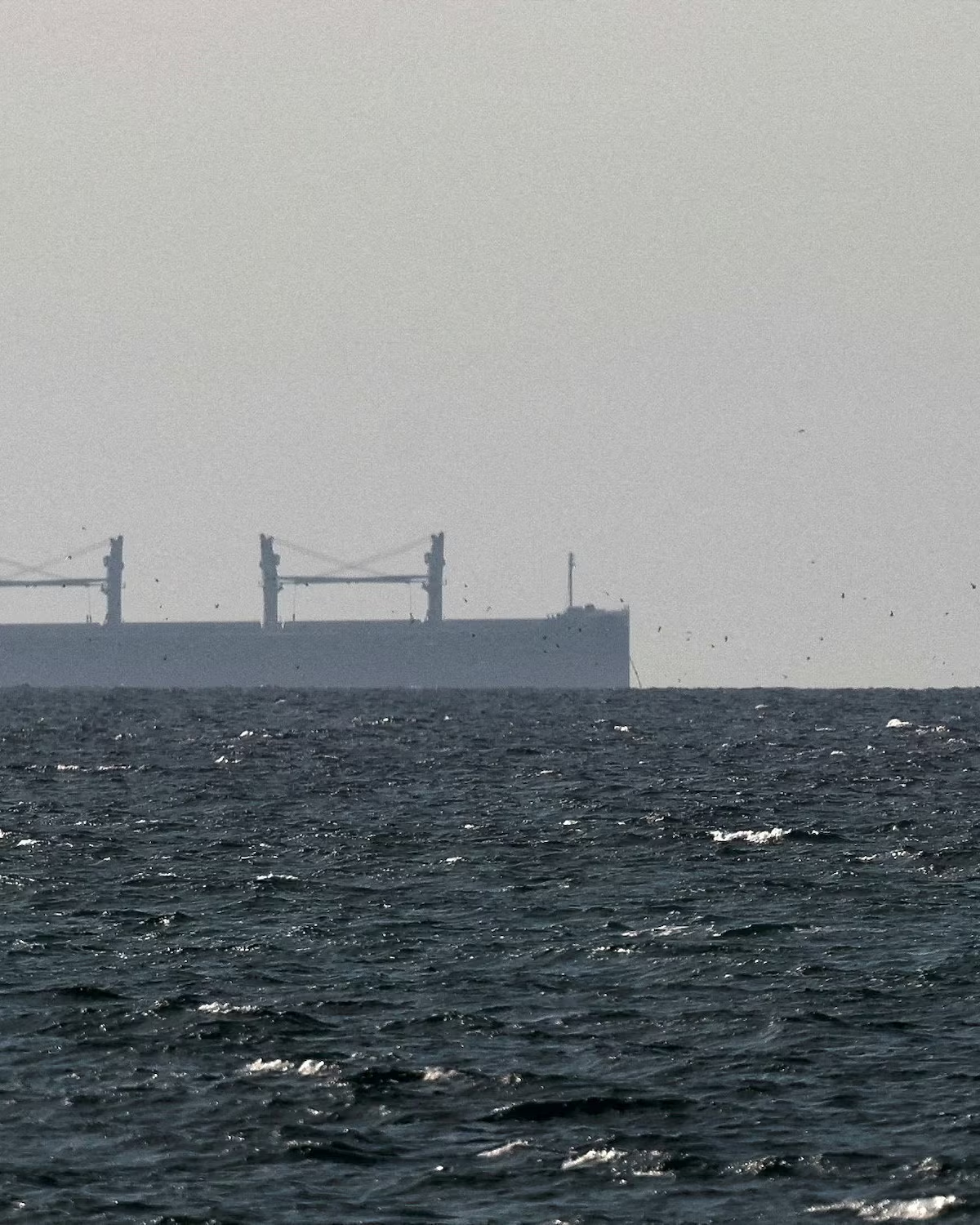 image_2026-04-18_11-43-21