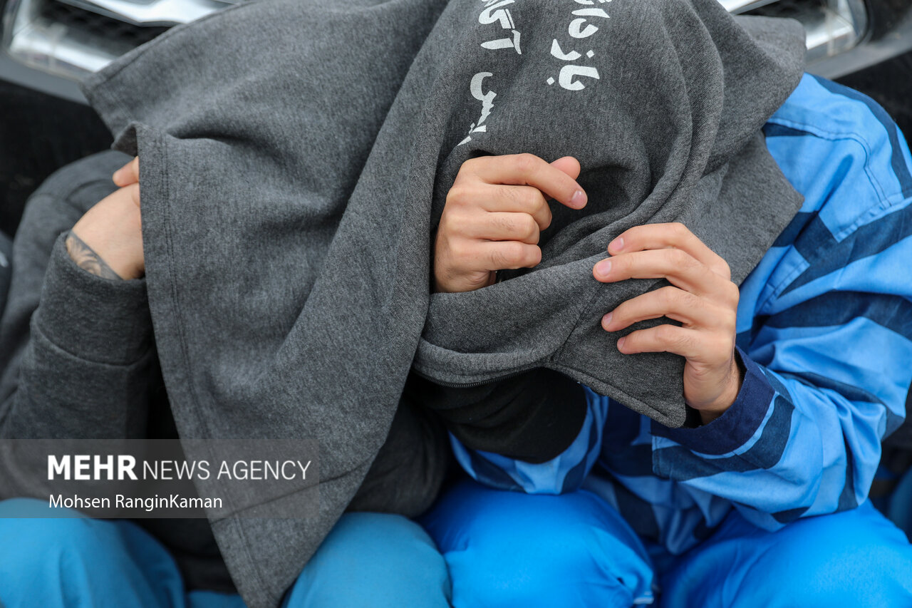 دستگیری سارقان