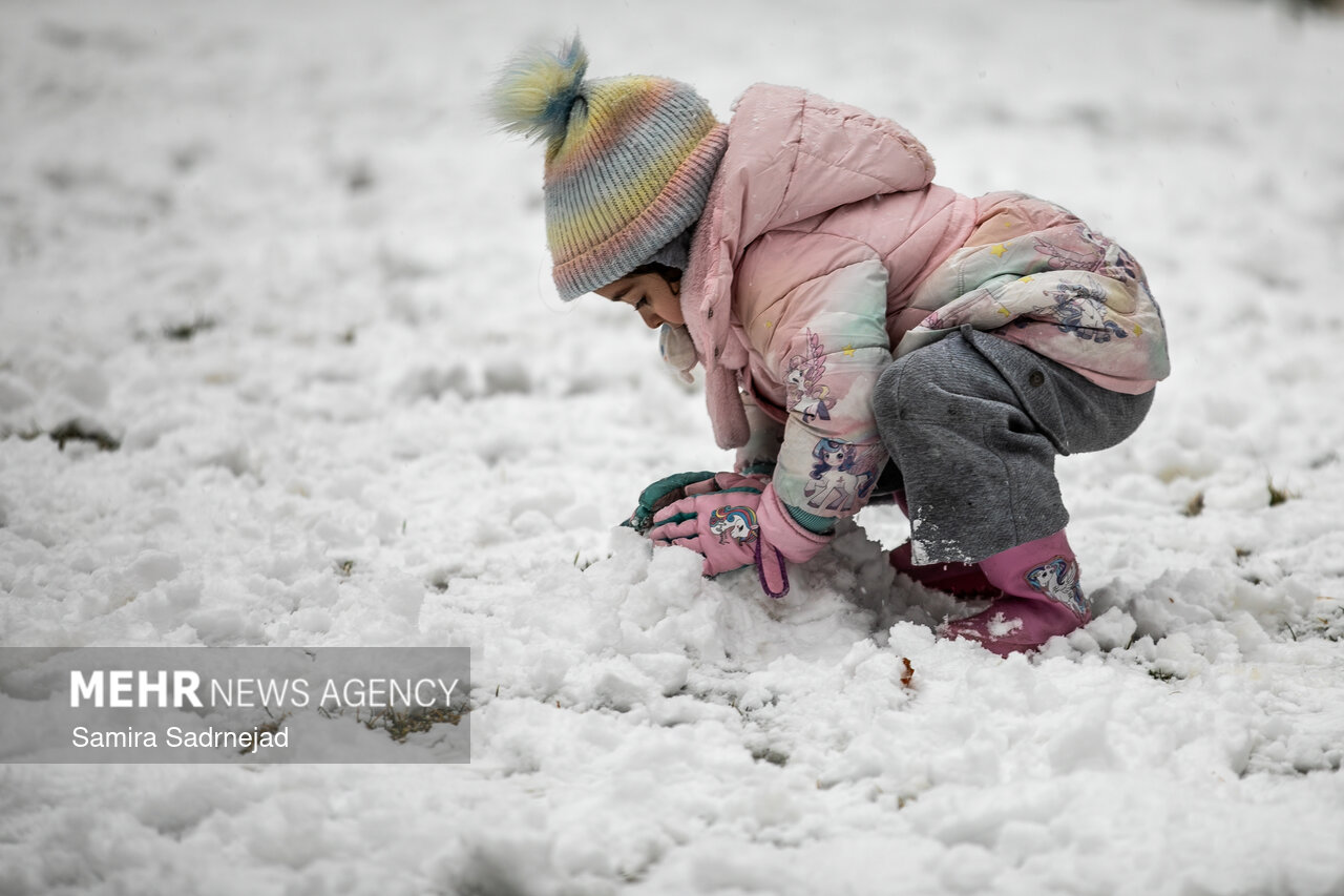 بارش برف در تهران