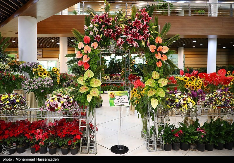 نمایشگاه گل و گیاه