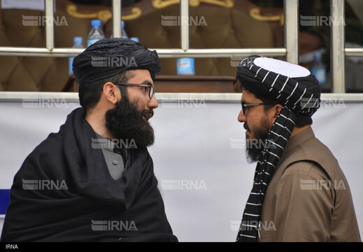 حقانی