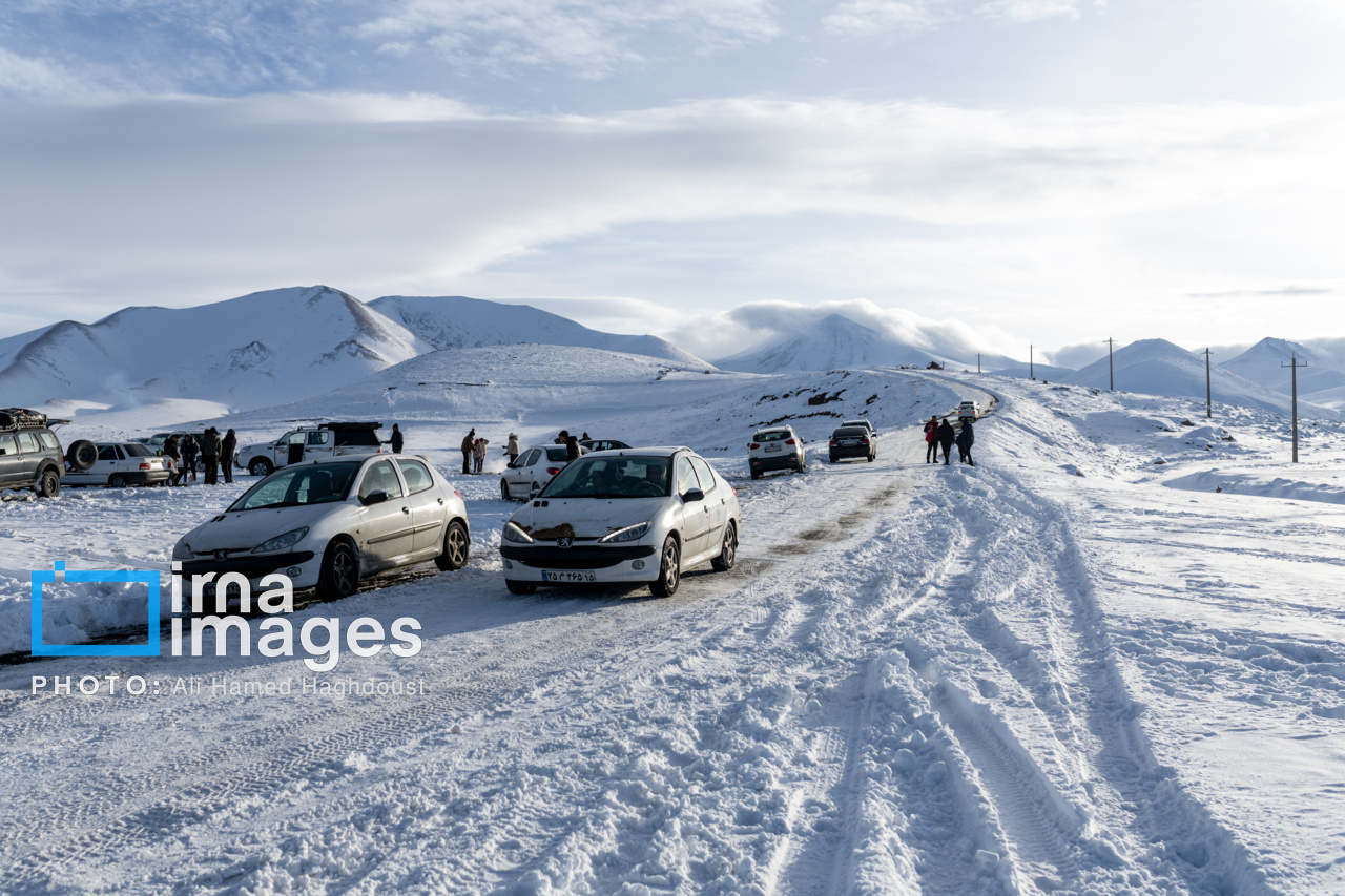 سهند سپیدپوش