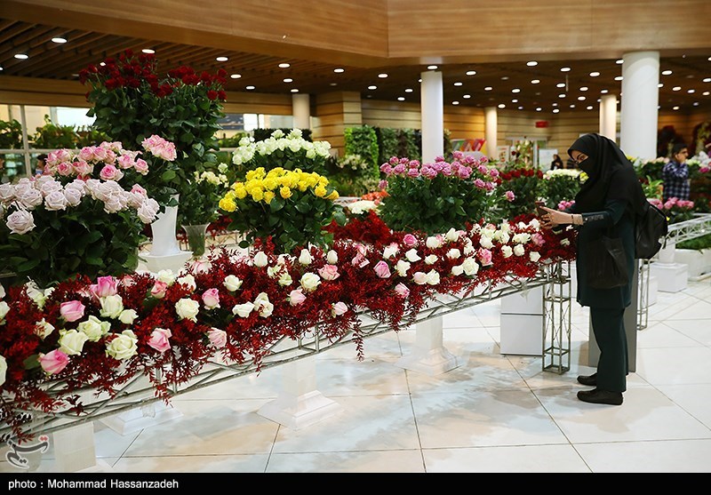 نمایشگاه گل و گیاه