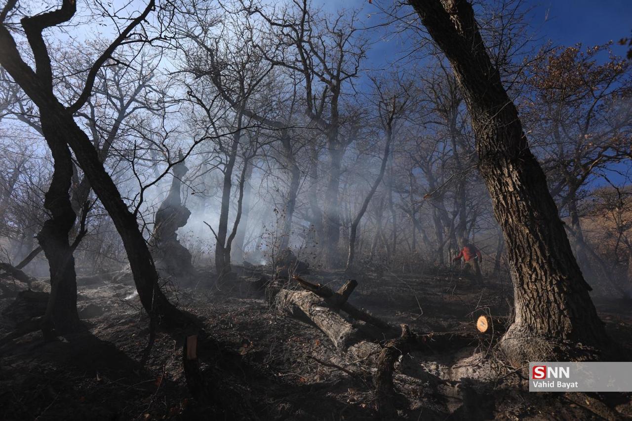 تصاویری از آتش سوزی های جنگل هیرکانی 3