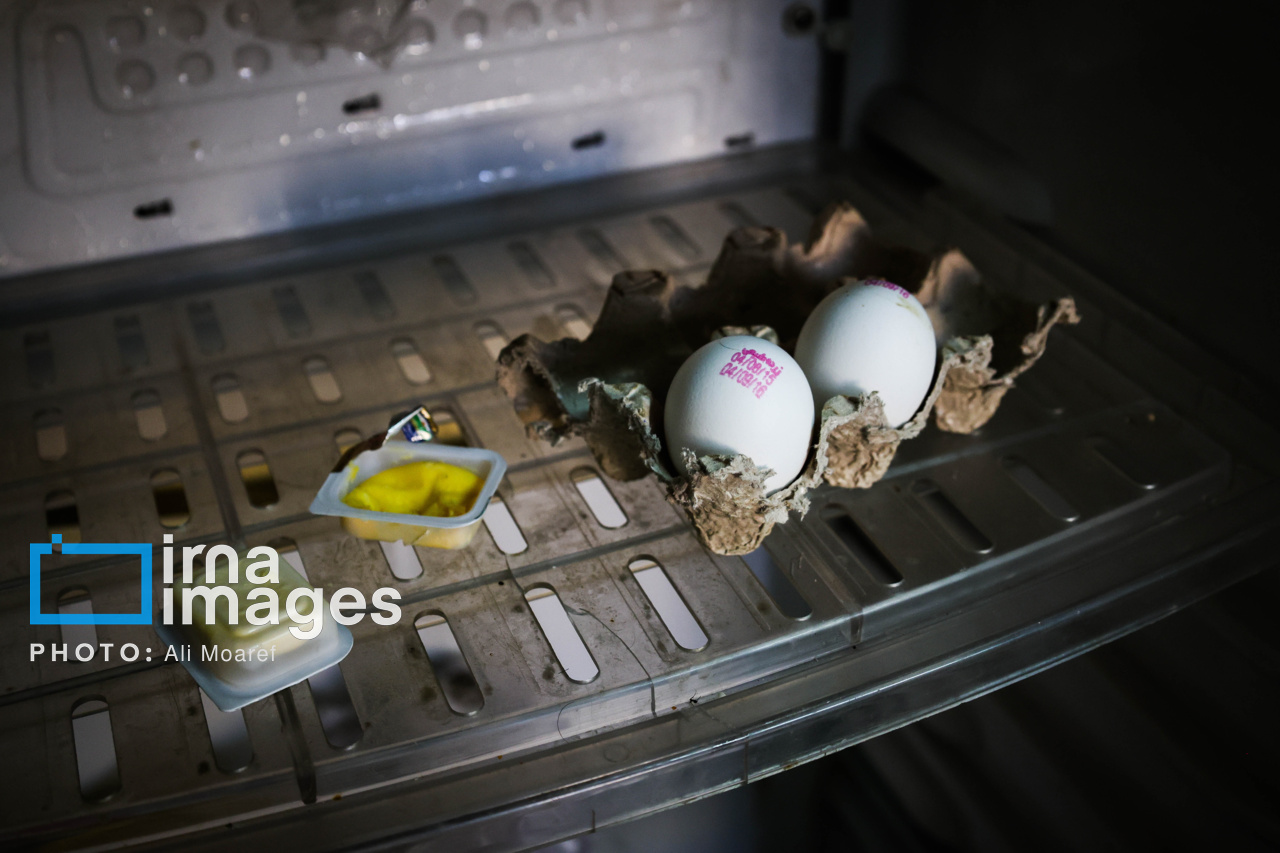 زندگی دانشجویی