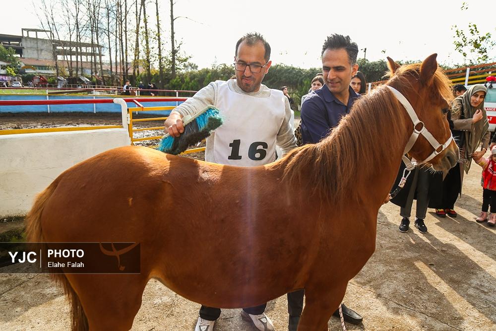 اسب نژاد کاسپین