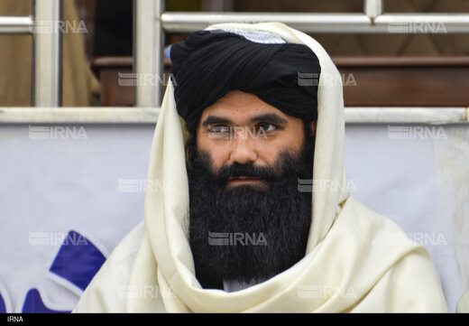 حقانی
