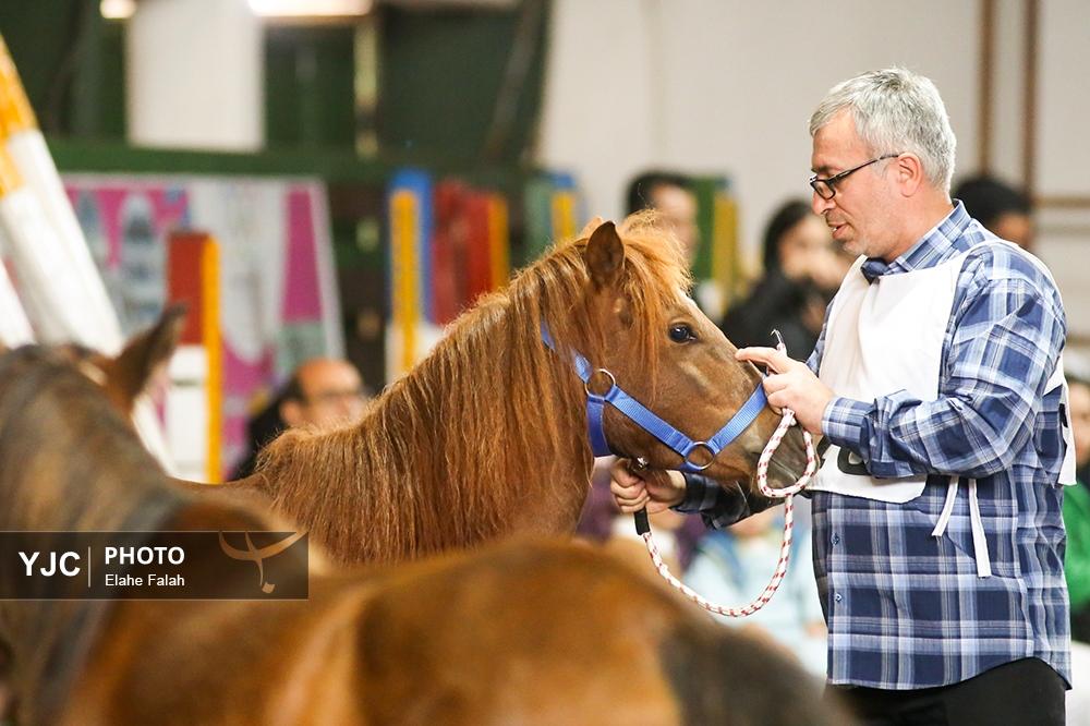 اسب نژاد کاسپین