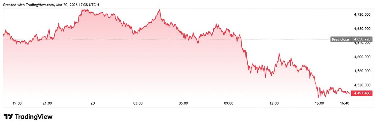 photo_2026-03-21_13-58-03