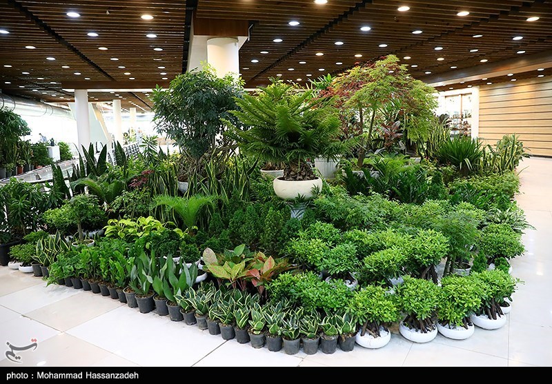نمایشگاه گل و گیاه