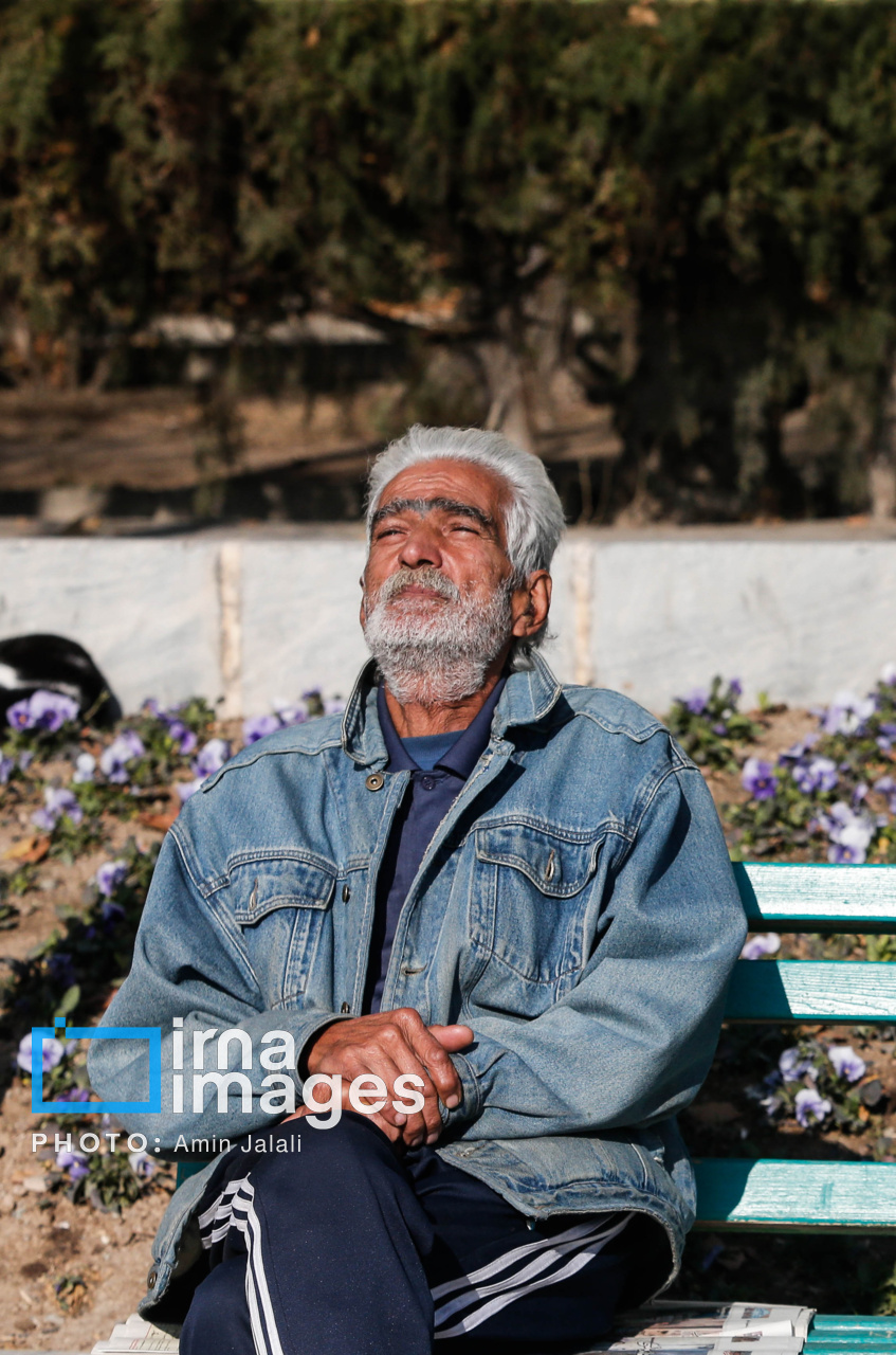 نیمکت های تهران