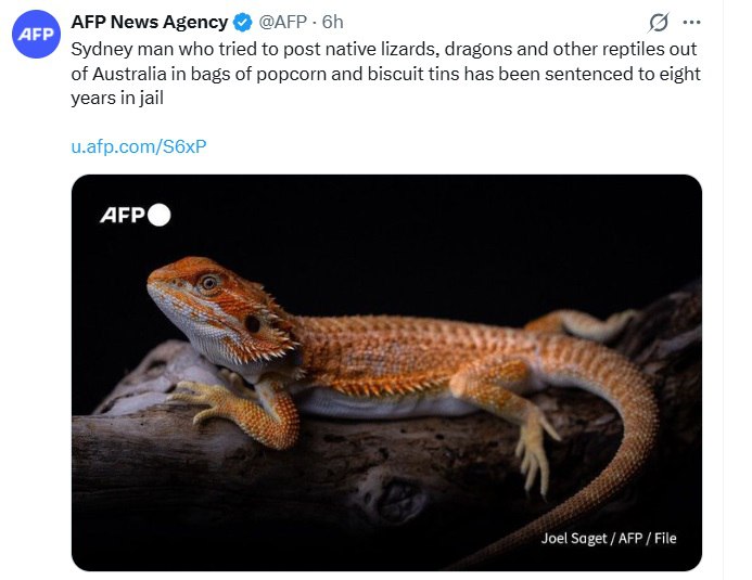 photo_2026-02-17_18-45-07