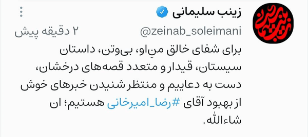 واکنش زینب سلیمانی به سقوط رضا امیرخانی از پاراگلایدر / دست به دعاییم و منتظر شنیدن خبرهای خوش هستیم 2