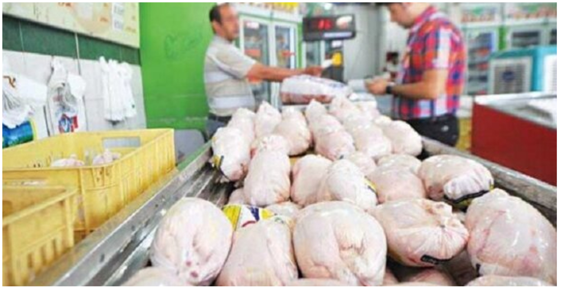 قیمت مرغ