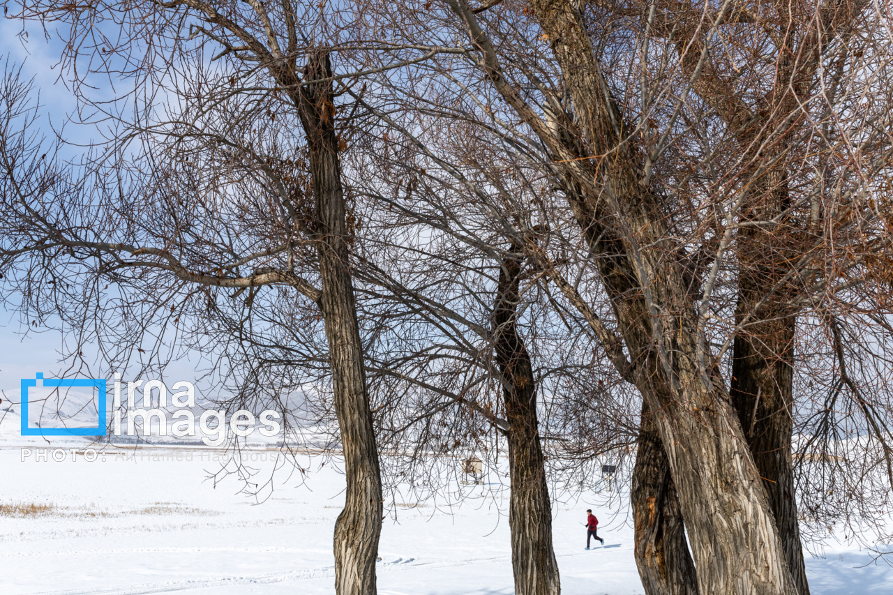 سهند سپیدپوش