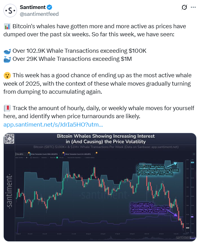 سیگنال ریزش قیمت بیت کوین به نهنگ‌ها | پیش بینی شلوغ‌ترین هفته سال 2025 برای تراکنش‌های بزرگ 2