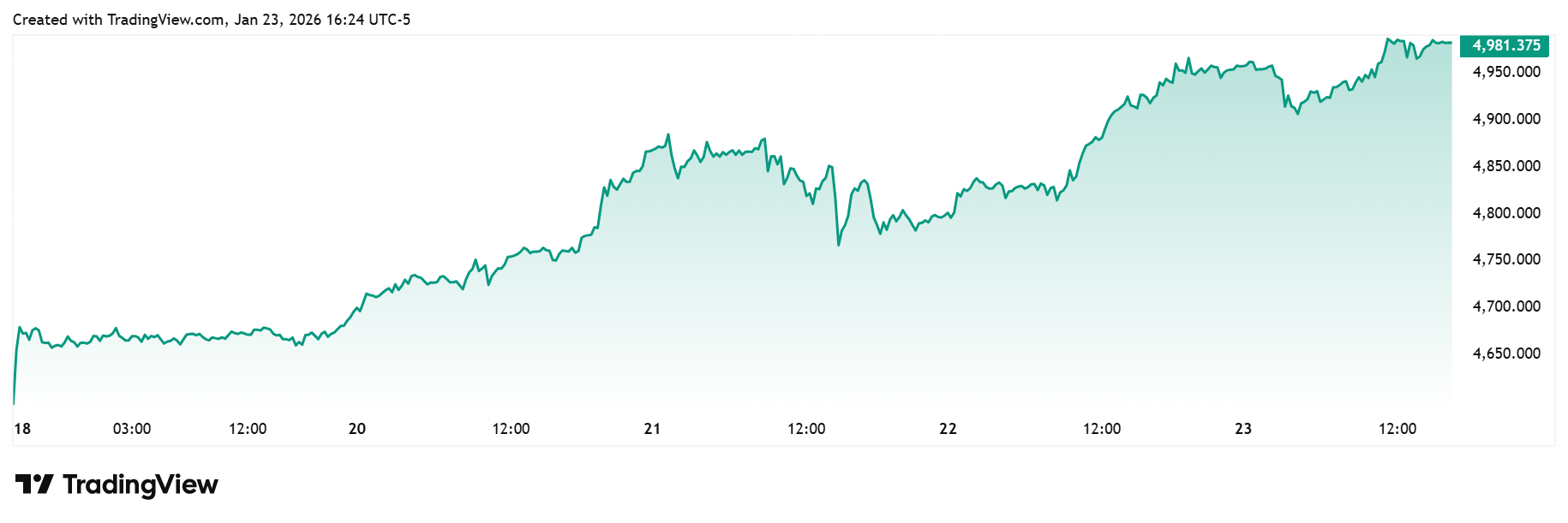 image_2026-01-24_19-28-45