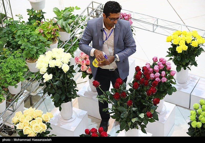 نمایشگاه گل و گیاه