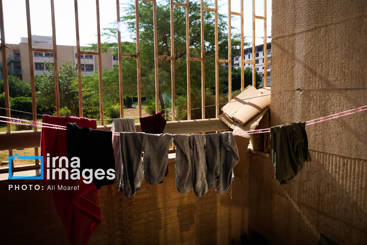 زندگی دانشجویی