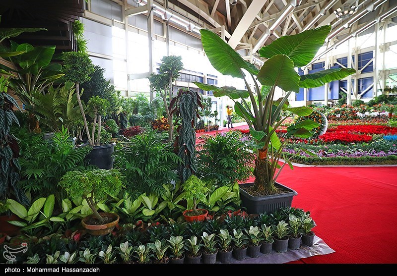 نمایشگاه گل و گیاه