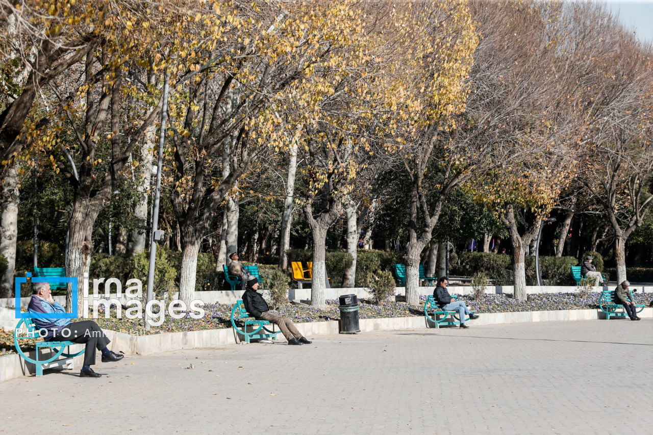 نیمکت های تهران