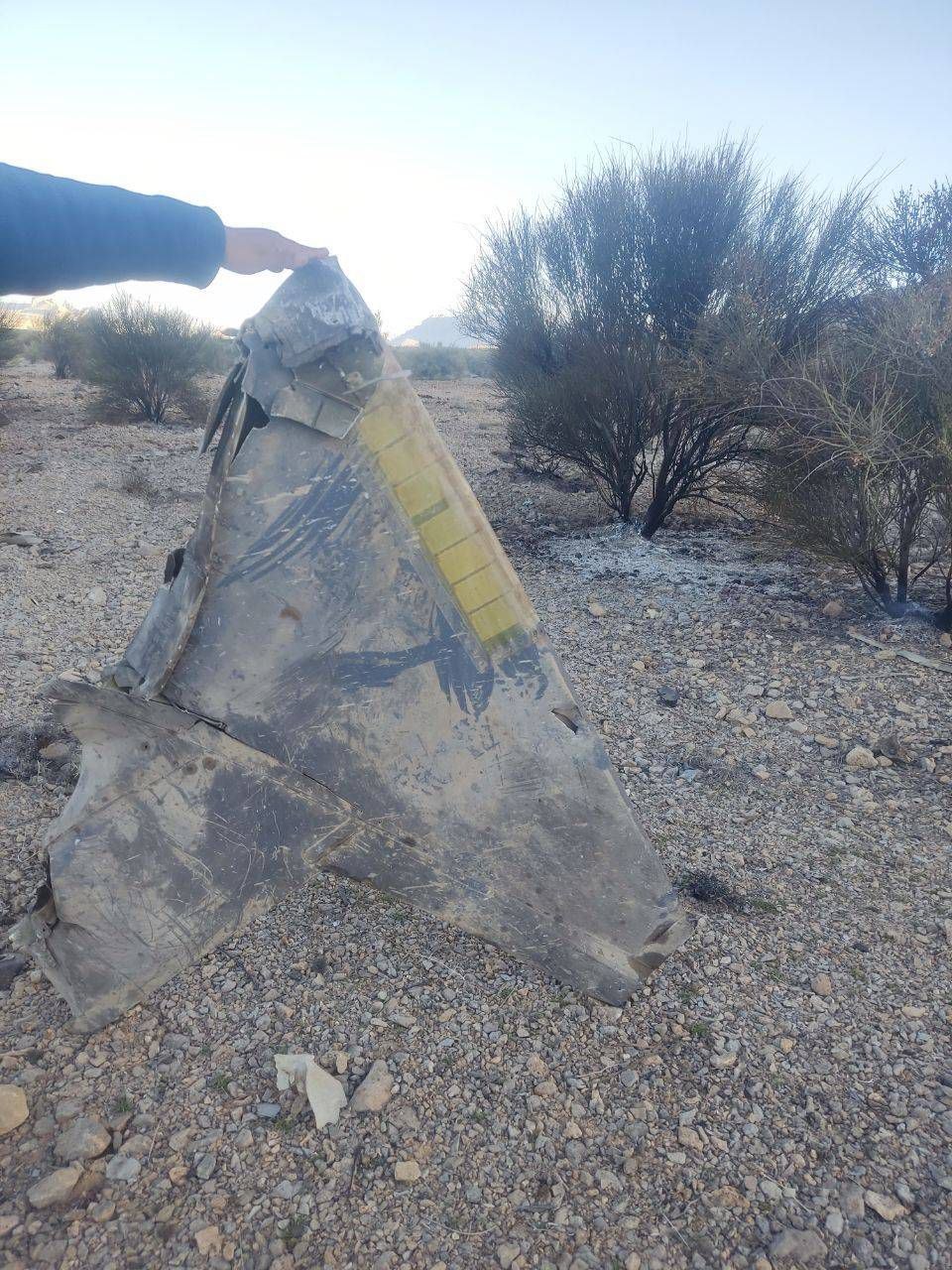 photo_2026-04-03_08-02-09 (2)