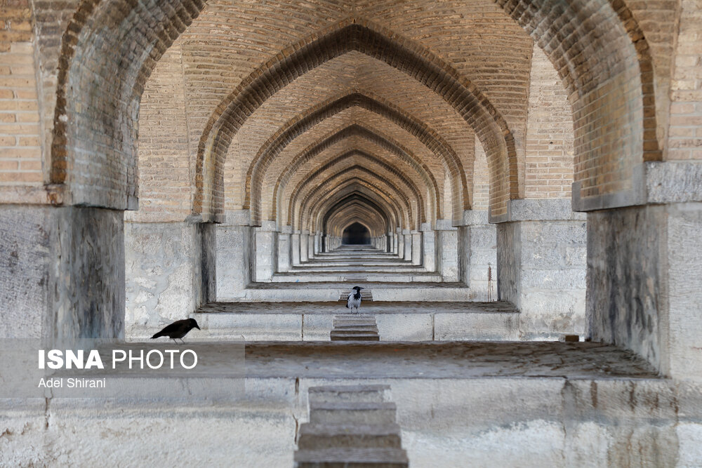 زاینده رود