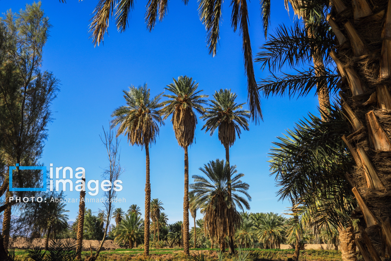 بهترین روستای گردشگری