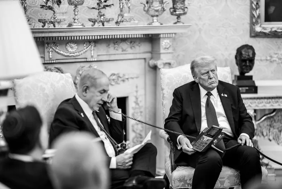 trump and BB