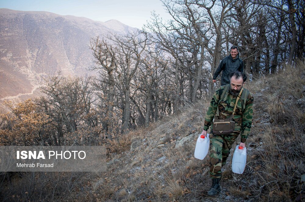 تصاویر | نبرد الیت با شعله‌ها 6