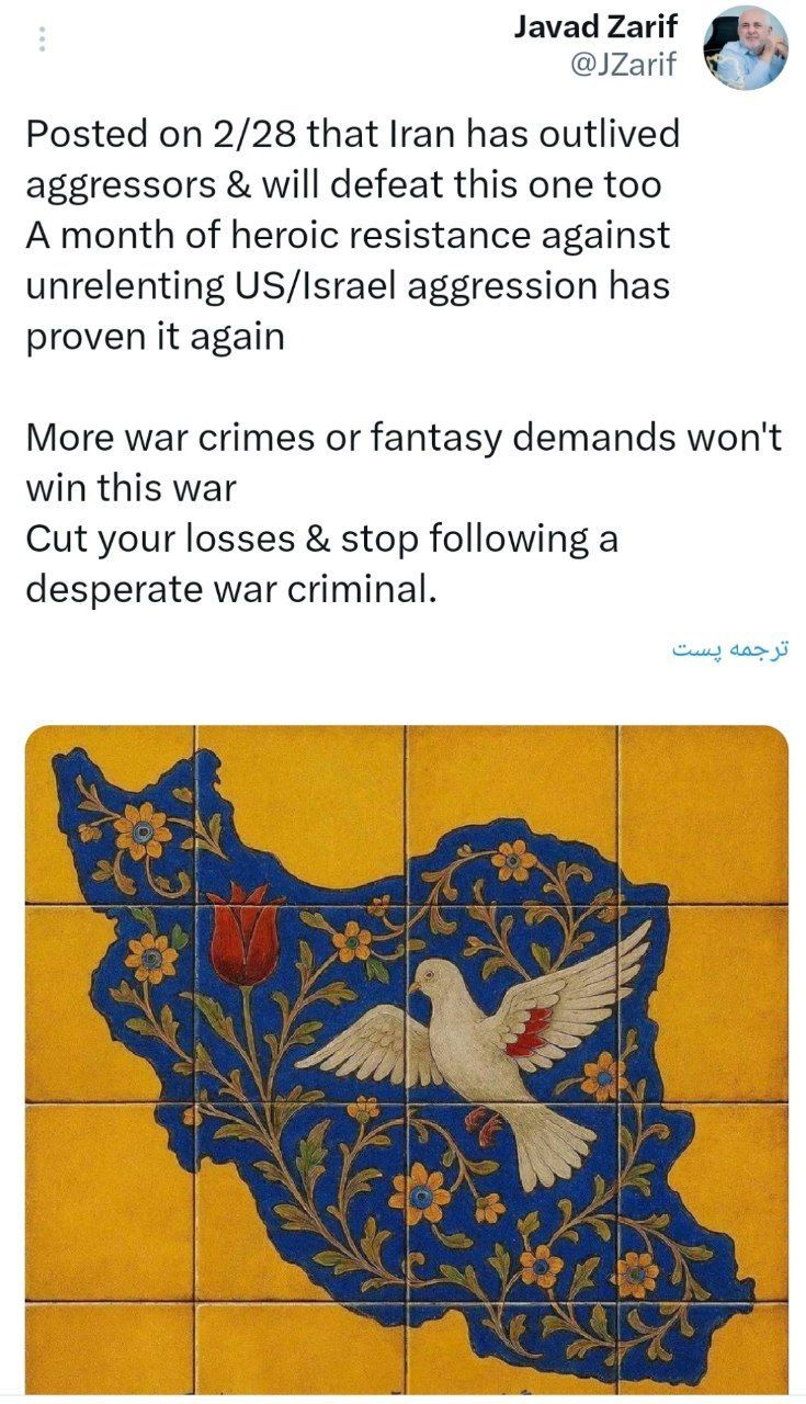 photo_2026-03-31_17-02-18