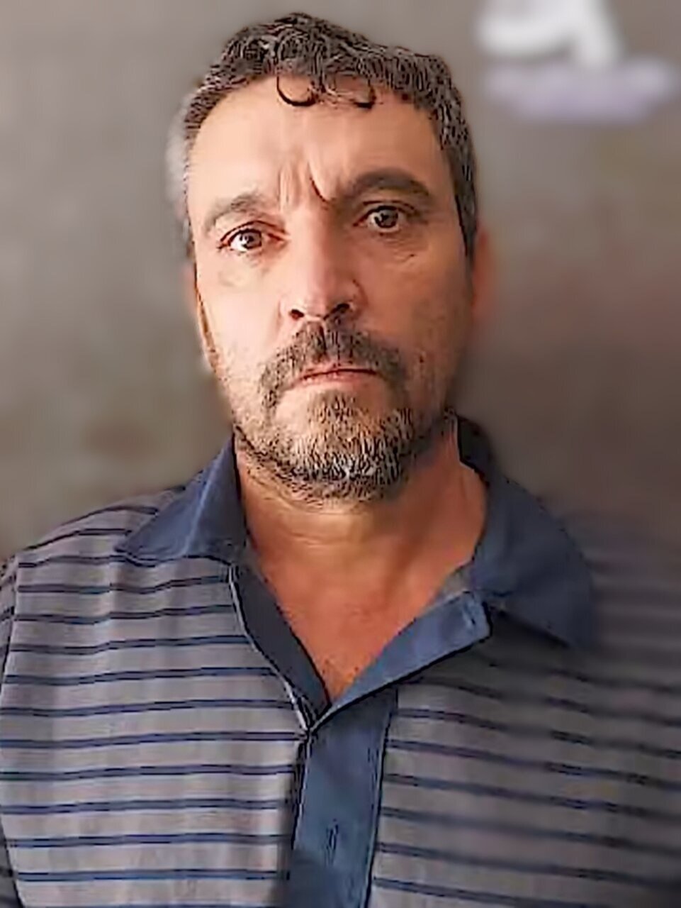 6287309