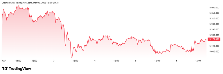 image_2026-03-07_12-05-47