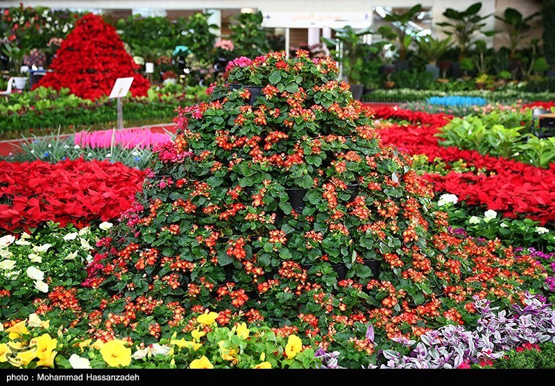 نمایشگاه گل و گیاه