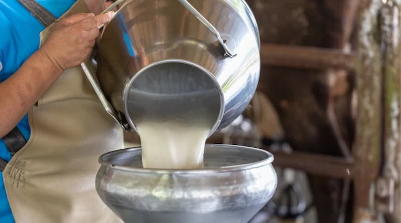 کارگاه های لبنیاتی شیر را چگونه نگهداری می کنند؟ 3