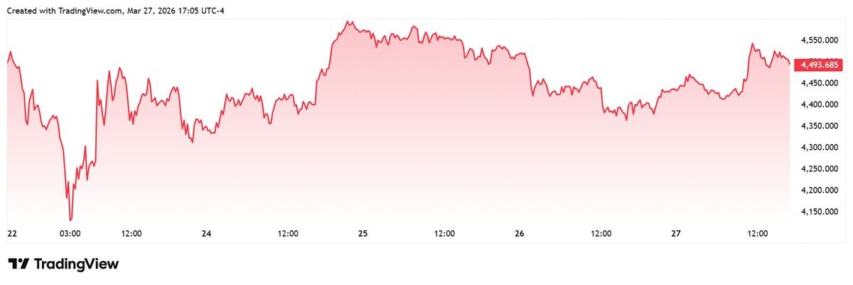 photo_2026-03-28_13-14-40