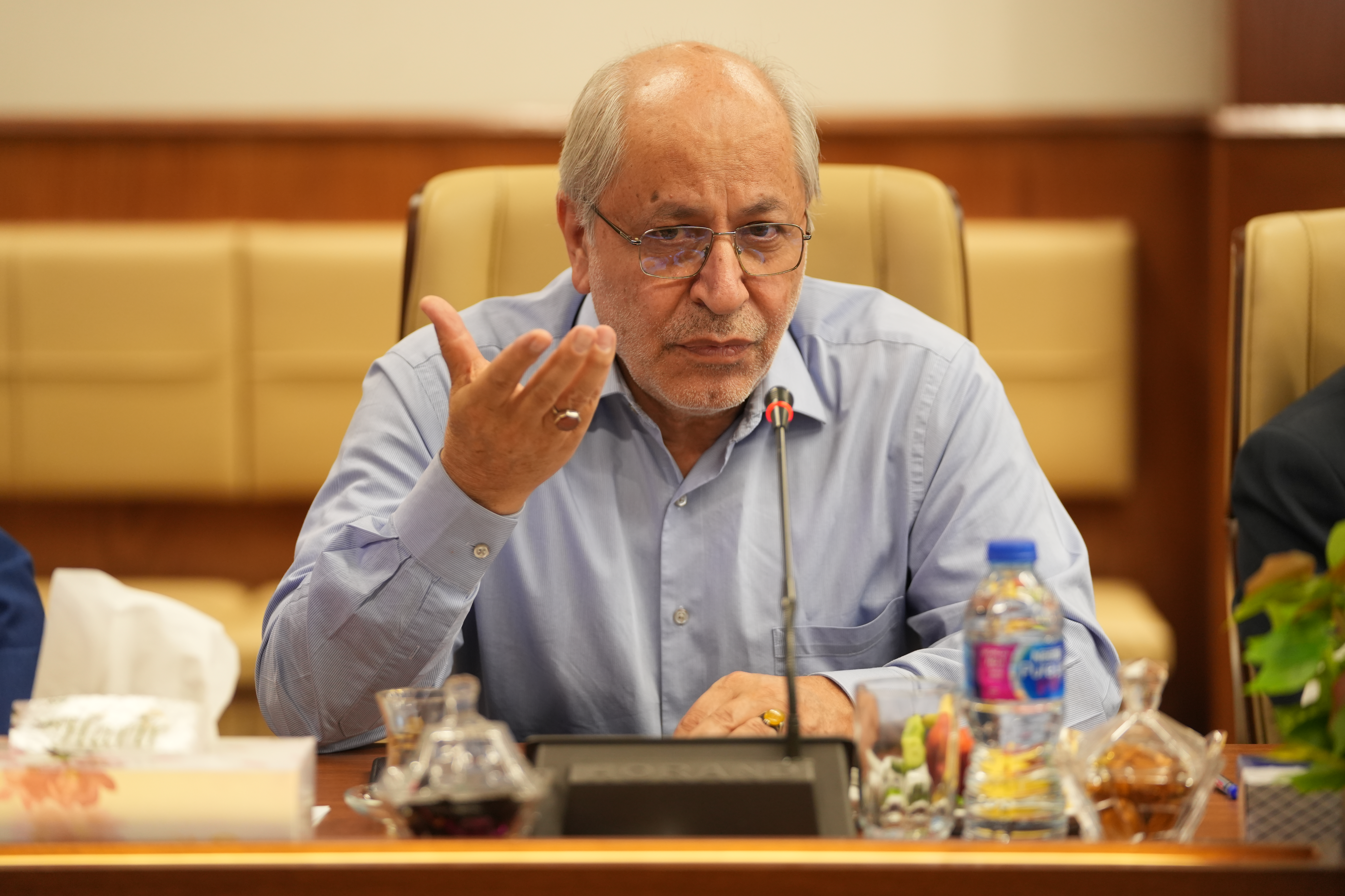 مسعود نیلی