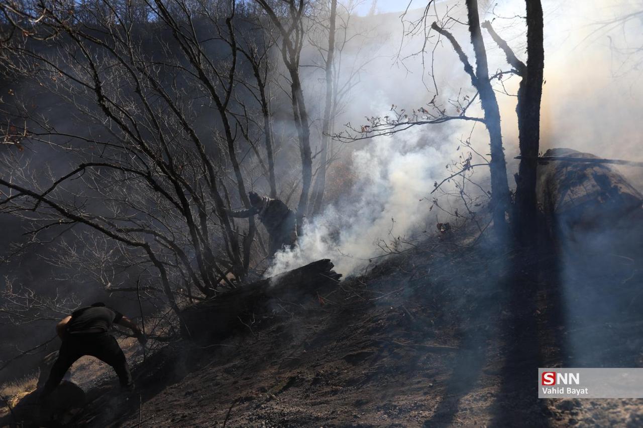 تصاویری از آتش سوزی های جنگل هیرکانی 5