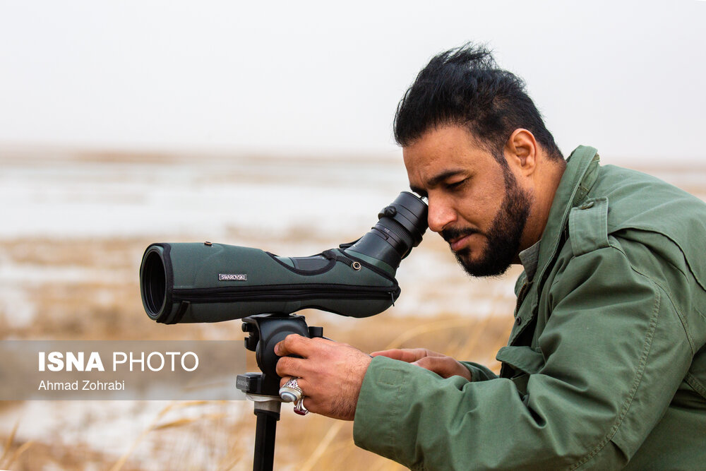 سرشماری پرندگان