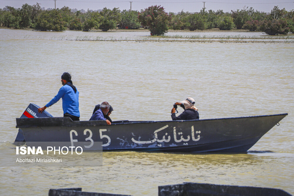 دریاچه هامون